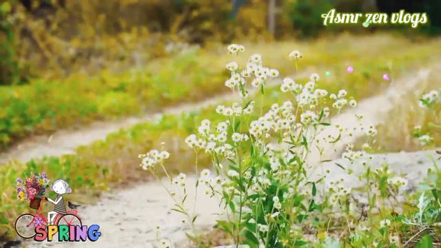 Beautiful Spring Vibes Nature Sound 🌹 Spring 🌹 Beautiful Relaxing Music 🌹 Piano Music 🌹Zen 🌹