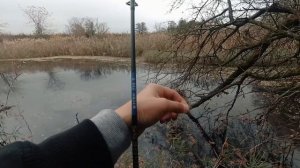 Трофейная ЩУКА на ультралайт. Береговая рыбалка осенью 2021