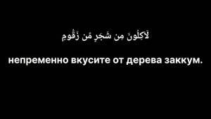 Мухаммад Шариф Эльжаркиев - сура 56 аль-Вакиа (Событие)