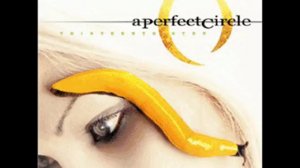 12. Gravity - A Perfect Circle