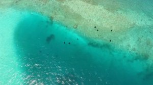 Kihaa Maldives