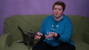 Как приучить кошку к вычёсыванию?