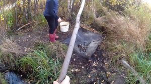 Рыбалка на Паук! Подъёмник в Маленькой Болотной Речке! Паук нас не Подвёл!