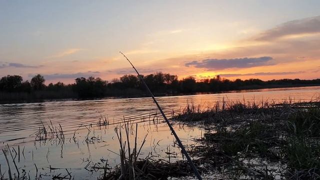 БОЛЬШОЕ АВТОПУТЕШЕСТВИЕ НА РЫБАЛКУ ЗА ВОБЛОЙ В АСТРАХАНЬ!!! АПРЕЛЬ 2021 смотреть онлайн