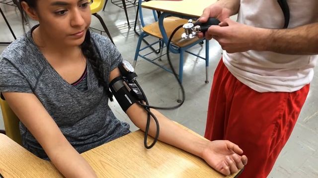 Blood Pressure Assessment смотреть онлайн