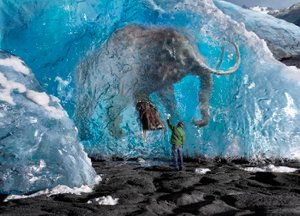 Почему в вечной мерзлоте севера находят мамонтов, но не находят людей