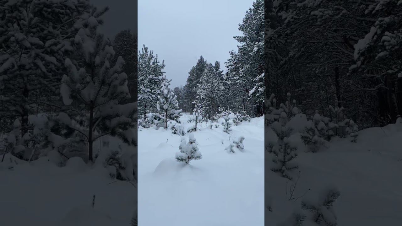 Найди замаскированных часть 7 #airsoft #fake #replica смотреть онлайн