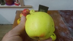 Сорта яблони к Рождеству