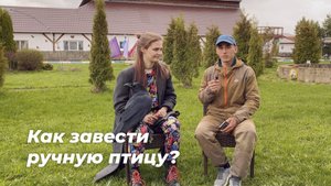 Где берут ручных птиц? Питомники, ЦРХП и браконьерство.