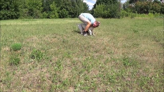 Белый пёс (НАЗАД В ПРОШЛОЕ) смотреть онлайн