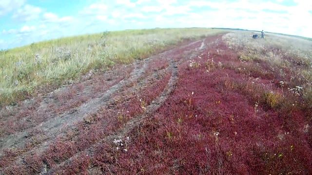 Расконсервация мотособаки смотреть онлайн
