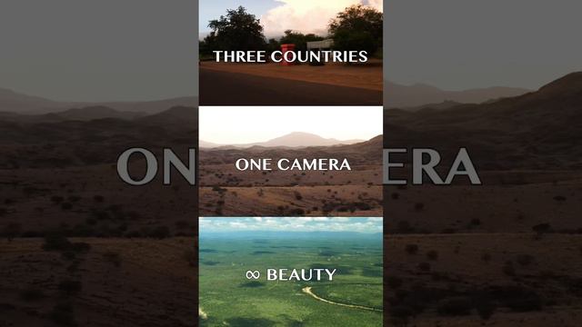 Welcome to a land where elephants rule, dogs prey, and hippos keep watch. This is Southern Africa. смотреть онлайн