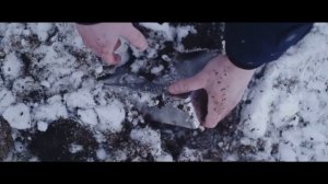 ЛЕША СВИК   БИОГРАФИЯ РЭПЕРА