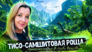 ТИСО-САМШИТОВАЯ РОЩА - Путешествие в глубь веков #сочи #хоста #всеосочи