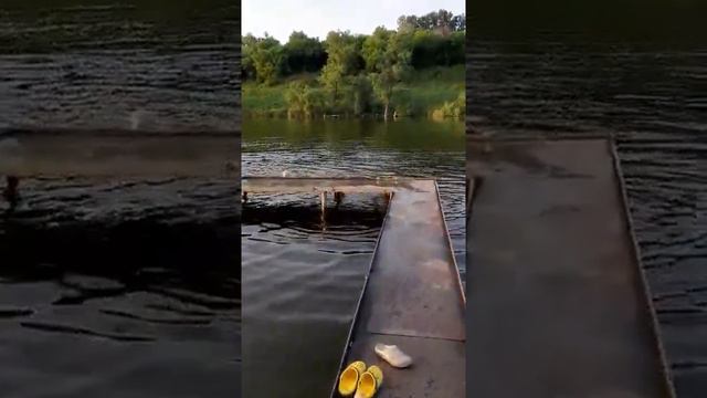 Савелька ныряет в воду