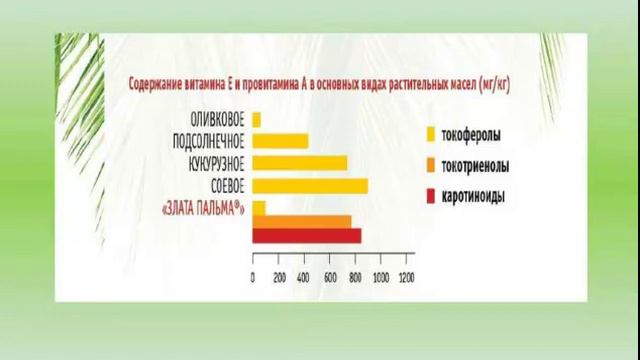 вся правда о пальмовых маслах