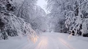 Состояние дороги после снегопада. 25.12.2023 Приезерское дрсу никак не реагирует на жалобы!