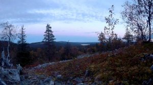 Pyhä-Luosto National Park, Finland