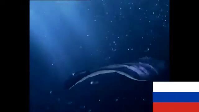 Реклама Hotpoint Ariston Aqualtis на трёх языках смотреть онлайн