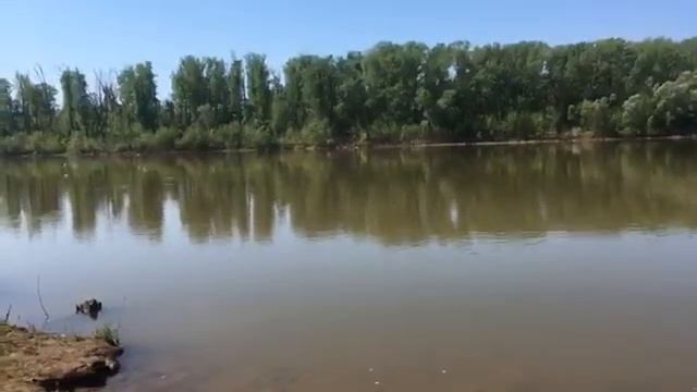 Видео Блог с Андреем Дымовым на тему, отдых с супругой на реке уфимка.
