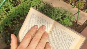 Высадили в ЖАРУ! Рассада ВЯНЕТ! Что ДЕЛАТЬ! Воспользуйтесь этим Дедовским Способом!