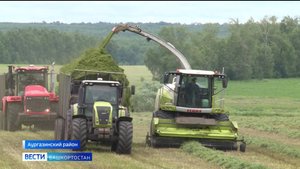 "Вести" узнали, как проходит кормозаготовка в Башкирии