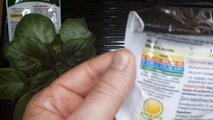 Краснеют листья. Наглядный пример. Нехватка фосфора. Фосфорные удобрения. Как правильно вносить