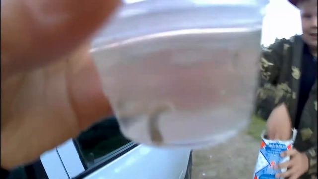 Ловля ЛЕЩА + малёк для выращивания смотреть онлайн