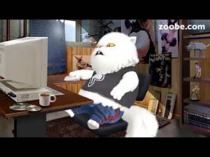 Zoobe котик - Ветер в голове!! )))