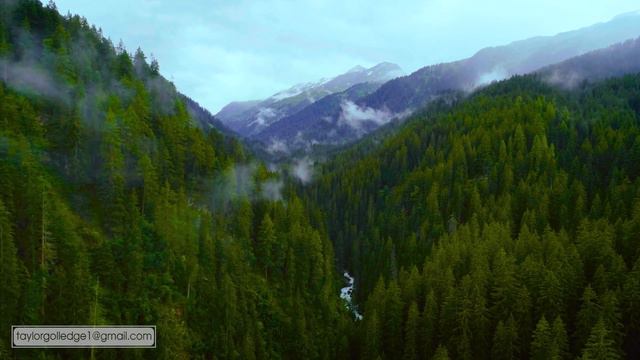 Успокаивающая музыка для нервов 🌿 лечебная музыка для сердца и сосудов, релакс, музыка для души смотреть онлайн