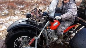 БАРХАН ЛЕС БОЛОТО