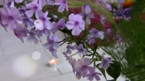 Марианна Полонски