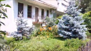 Чабанка , Одесская область 2017