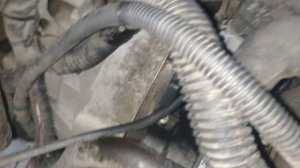 номер двигателя,win номер Ауди А 6