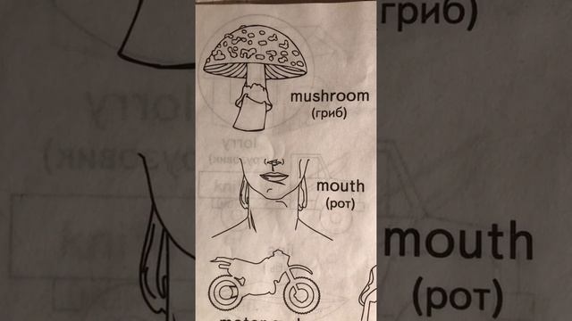 Урок 5. Веселый английский