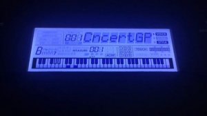 Accompaniment Yamaha PSR-E373