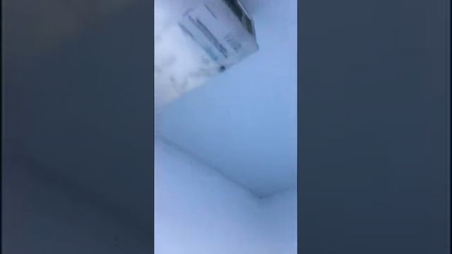 ??? Холодильная камера для цветов ❄️❄️❄️