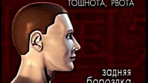 Массаж точек при простуде, головной боли и др.