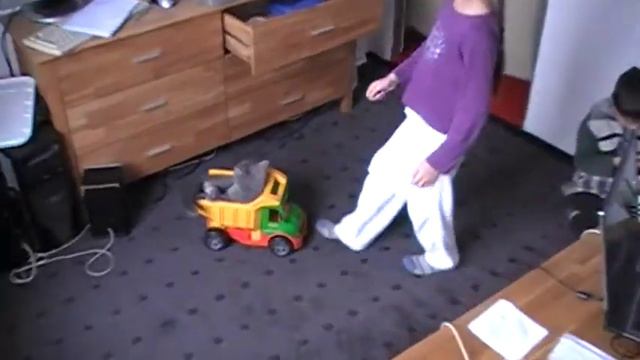 Кошка за рулем смотреть онлайн