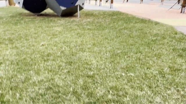 ЖК Черная речка | Ожидание и Реальность| Экскурсия по объекту| смотреть онлайн