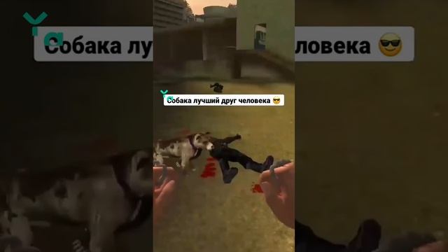 Собака лучший друг человека ?
#Postal2 #юмор #прохождение