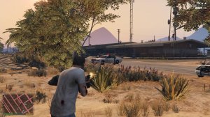 Grand Theft Auto V (2013) №8