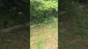 Горит ли пеноплекс???