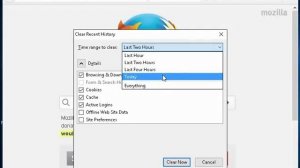 Firefox View and Delete History