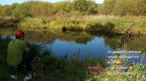 ловля карася на опарыша с тестом. Стрим на пруду