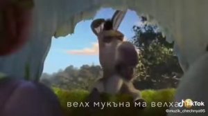 чеченский прикол (Шрэк)