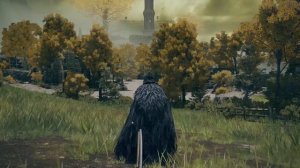 Elden Ring гайд ГДЕ НАЙТИ прах скелетов ополченцев