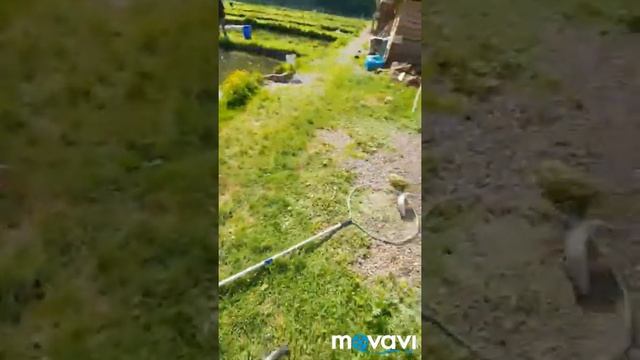 УБОЙНАЯ РЫБАЛКА!!! НА РЫБАЛКУ С ДЕТЬМИ ### 6 ФОРЕЛЬ ЗА 30 МИНУТ!!! смотреть онлайн