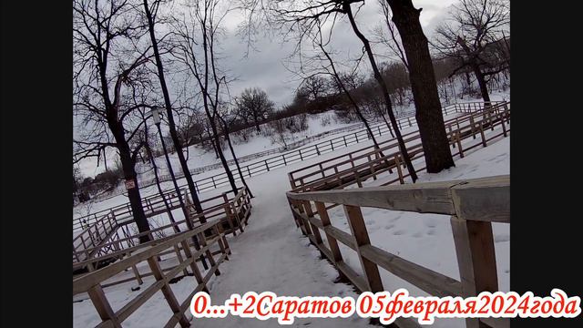 Парк пруд Семхоз зимой в Саратове 05 февраля 2024 года