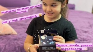 Выращиваем питомца юрского периода